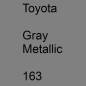 Preview: Toyota, Gray Metallic, 163.